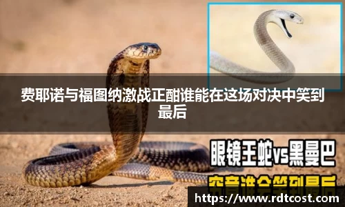 费耶诺与福图纳激战正酣谁能在这场对决中笑到最后